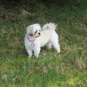 Meet your Posher, Sophia